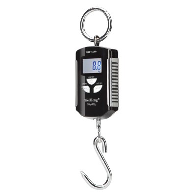 precision 100g weiheng official store electronic fishing hanging scale price manufacture