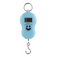 50Kg x 10g LCD Luggage Hanging Digital Pocket Scale with Temperature